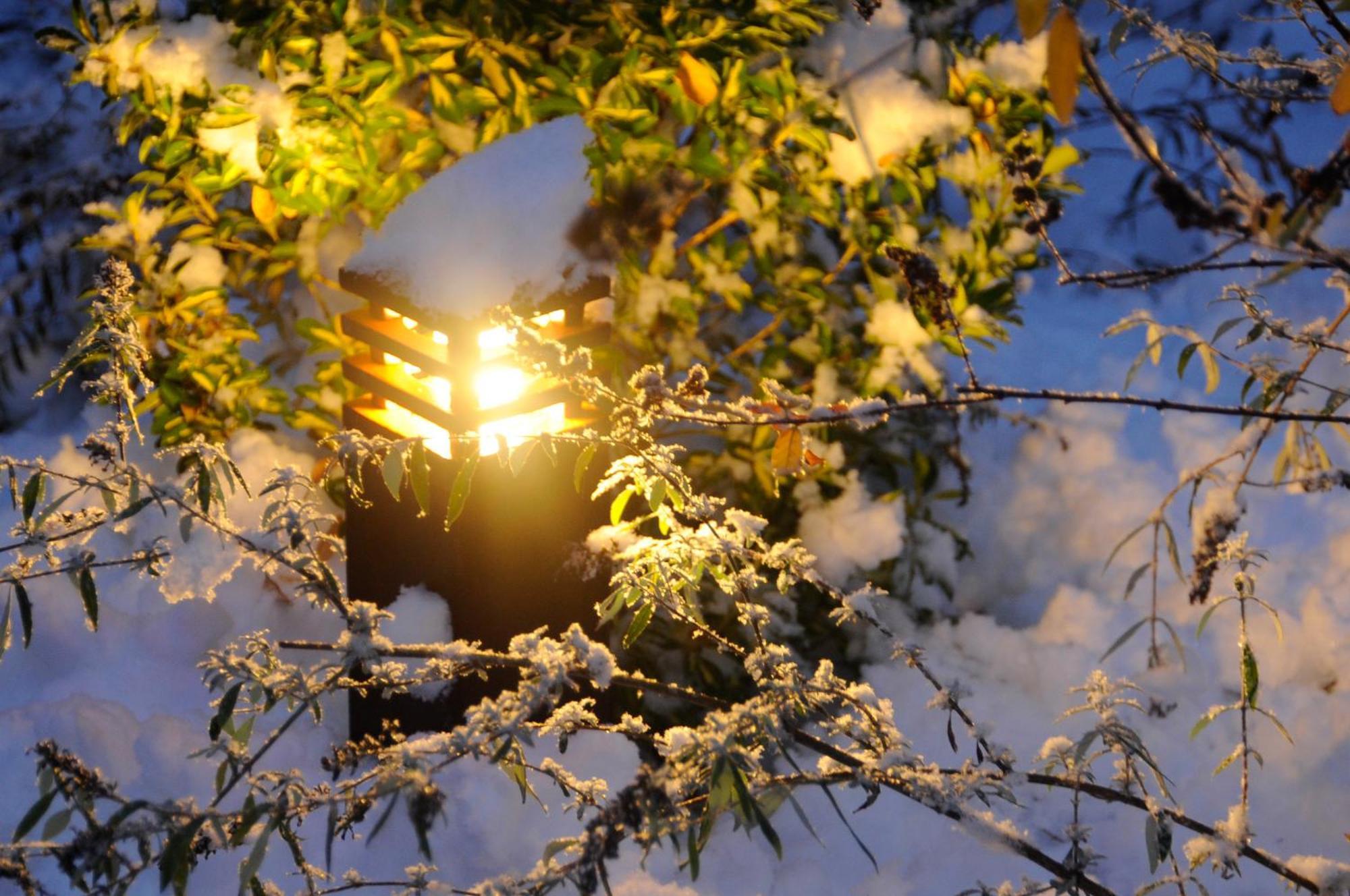 Apparthotel Gartenresidence Nalserhof Dış mekan fotoğraf